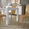 SILLA NORDICA - Imagen 2